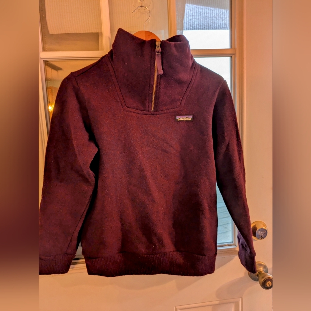 Patagonia® Worn Wear *Like New* W's Woolie Fleece Pullover XS